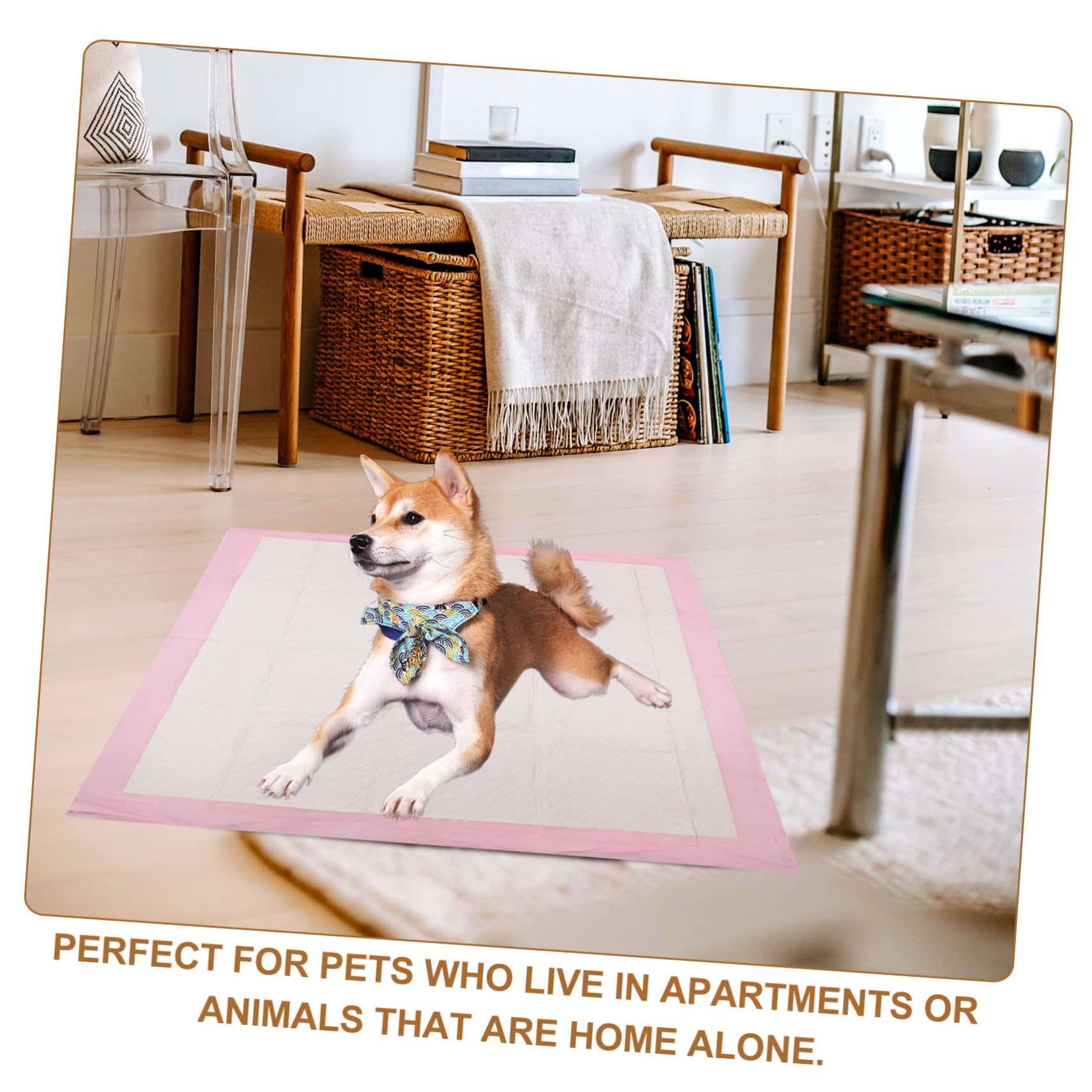 INOOMP 1paquete Empapadores para Perros Almohadillas Higiénicas Absorbentes Diseño Especial para Entrenamiento De Mascotas y Uso Interiores