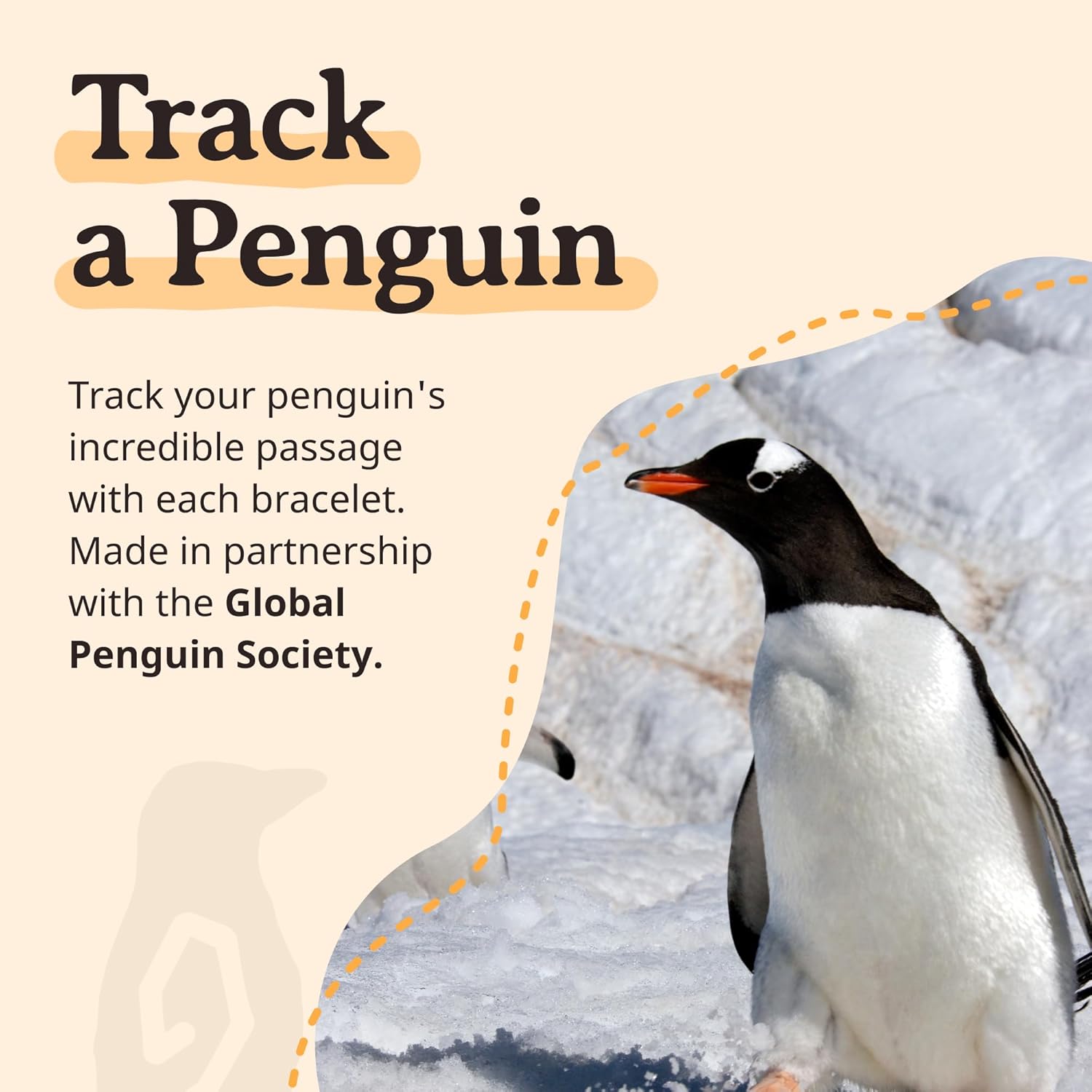 Fahlo Penguin Tracking Bracelet – Track a Real Penguin’s Journey – Supports Wildlife Conservation – Elastic, One Size Fits Most – on Interactive Mobile App Map – Unisex Conservation Gift - Image 6