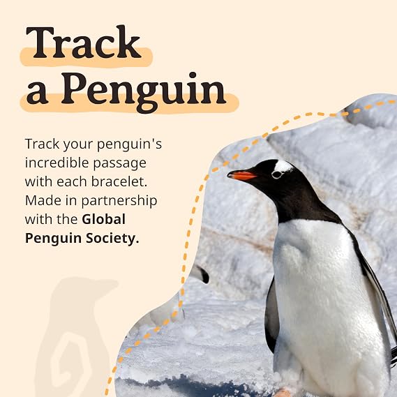 Fahlo Penguin Tracking Bracelet, Elastic, supports Global Penguin Society, one size fits most for Men and Women