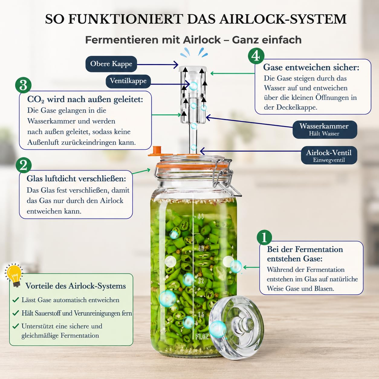 Fermentiergläser 2 L Glas-Fermentierset mit Airlock und Gewichten 2er-Set