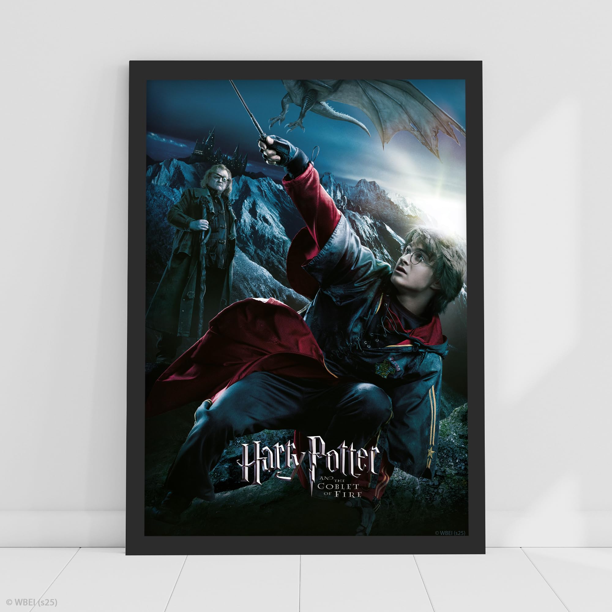 Harry Potter Print - Harry Potter and The Goblet of Fire Movie Poster Wall Art (21cm x 29.7cm - A4)