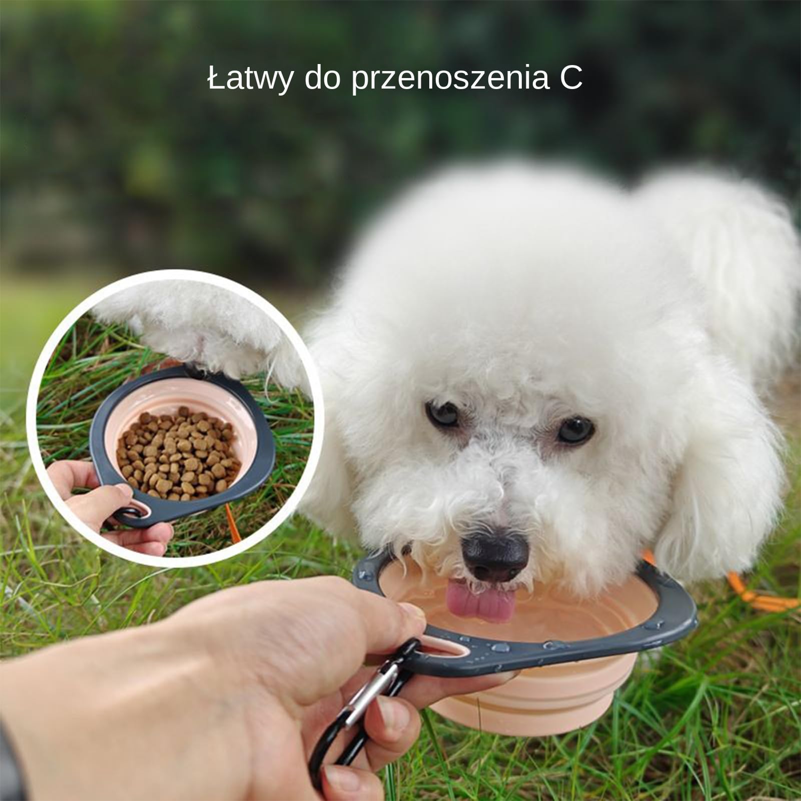 Foldable Dog Bowl, Portable Water Bowl Folding Dish, Food Container Feeder with Carabiner Clip, Travel-Friendly Pet Watering Dish for Outdoor Hiking, Walking, Camping Use, 15.7x14x1.1cm Blue Pink