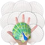 20PCS Large Scallop Shells for Crafts, 4-5 Inch Natural Sea Shells for Decorating, White Seashells Bulk for DIY Crafting, Painting, Baking, Ocean Themed Party Supplies & Decorations