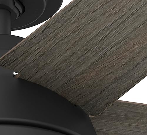 Miniatura 9 de Hunter Fan Company 52422 Burroughs Ventilador de techo, negro mate