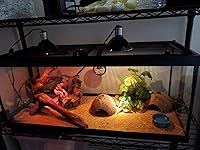 Review Image by Neriniex Neriniex