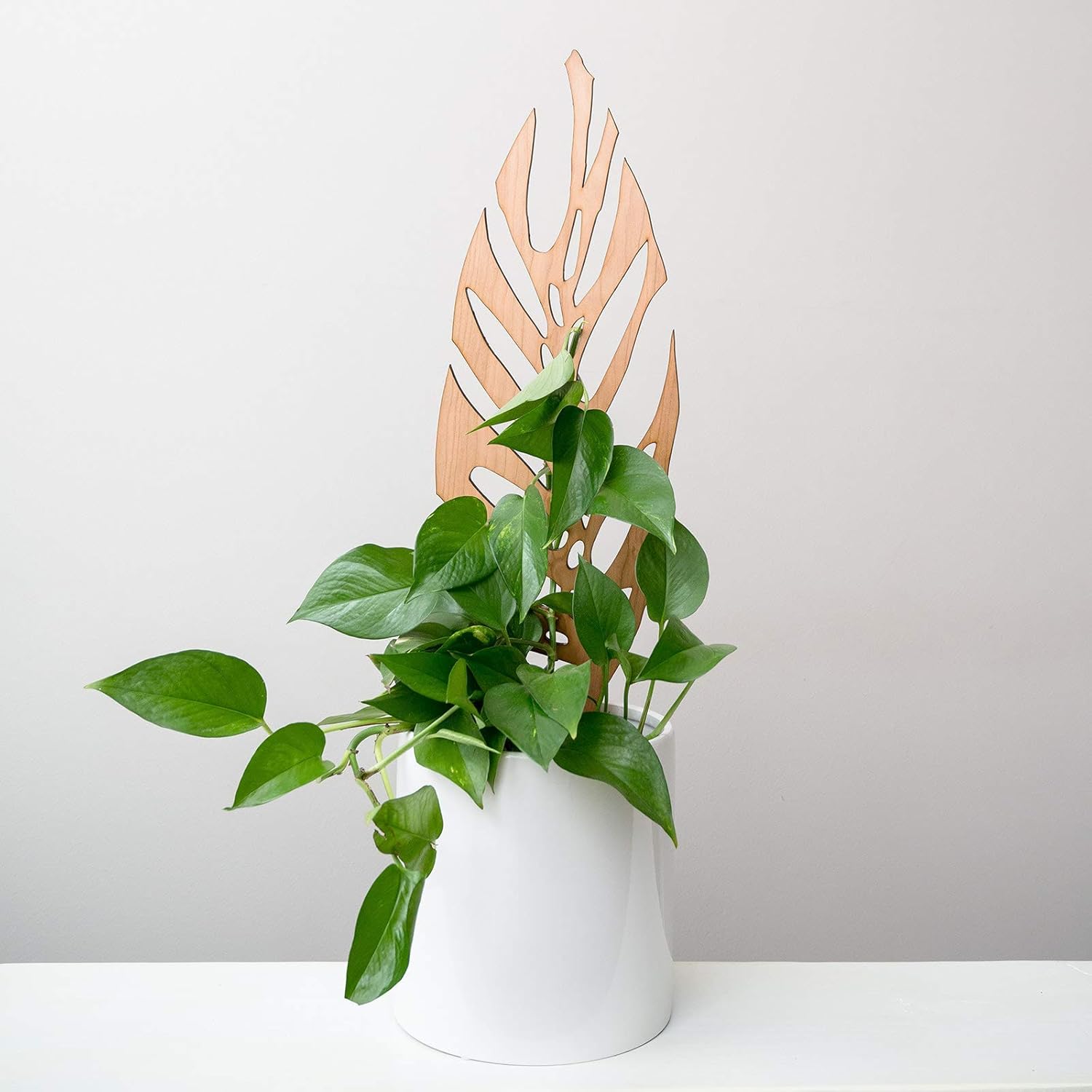 Treleaf Monstrella Leaf Inspired Wooden Trellis – Grande Size Indoor Plant Support for Climbing Plants – 12” Decorative Houseplant Trellis for Vines, Monstera, Pothos & More