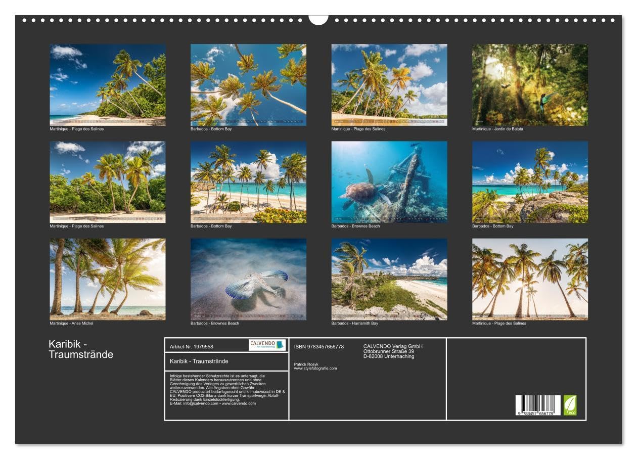 Karibik - Traumstrände (Wandkalender 2026 DIN A2 quer), CALVENDO Monatskalender: Sonne, Meer und karibische Traumstrände (CALVENDO Natur)