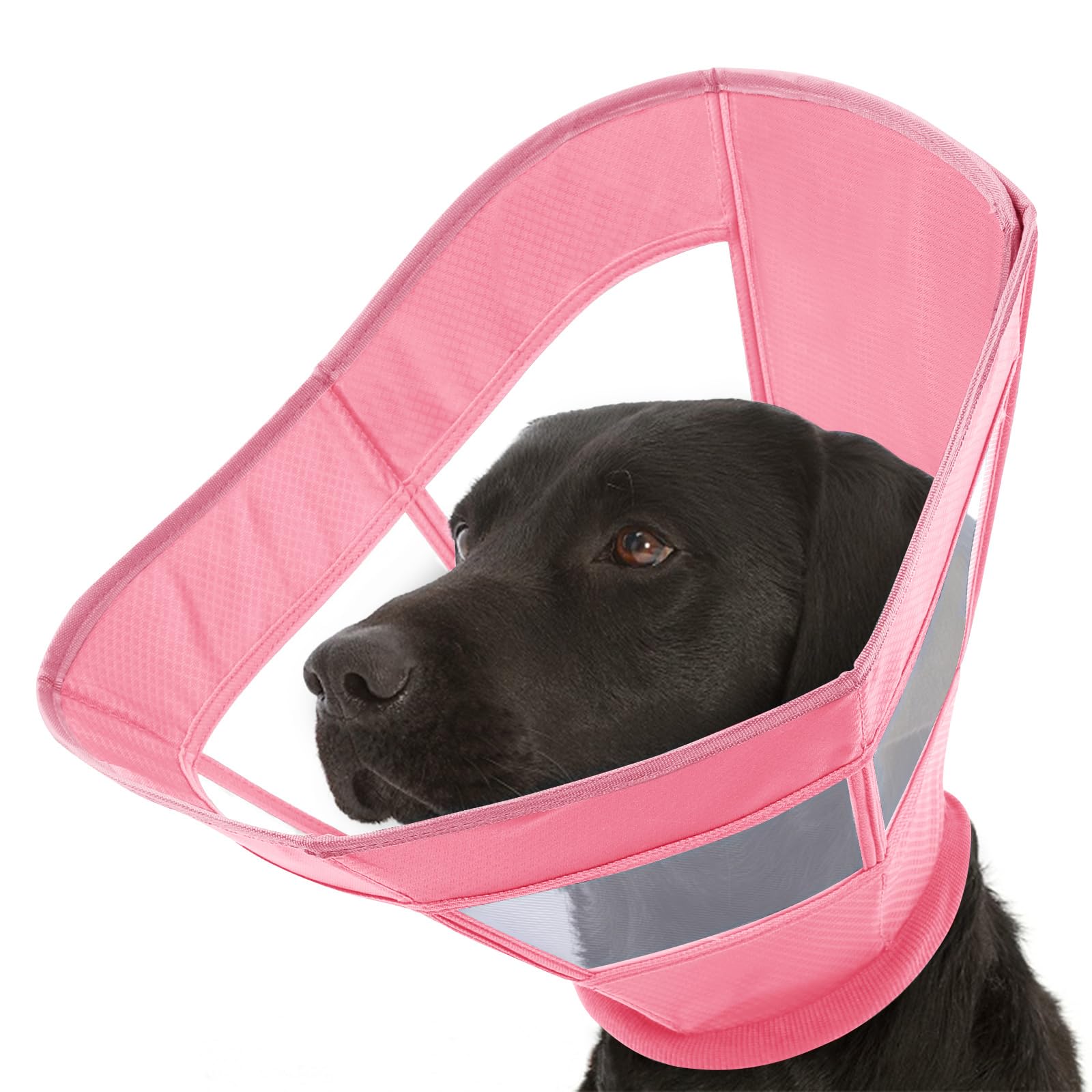 Cono suave para que los perros dejen de lamer heridas y cirugías