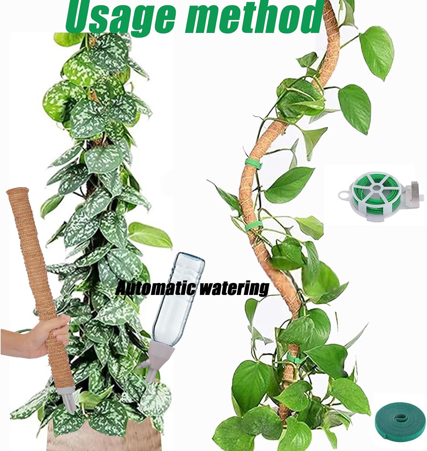 3-Pack Tall Moss Poles (50 Inch) - Coco Coir Plant Support Sticks for Potted Plants (Monstera, Pothos, Philodendron) image 4