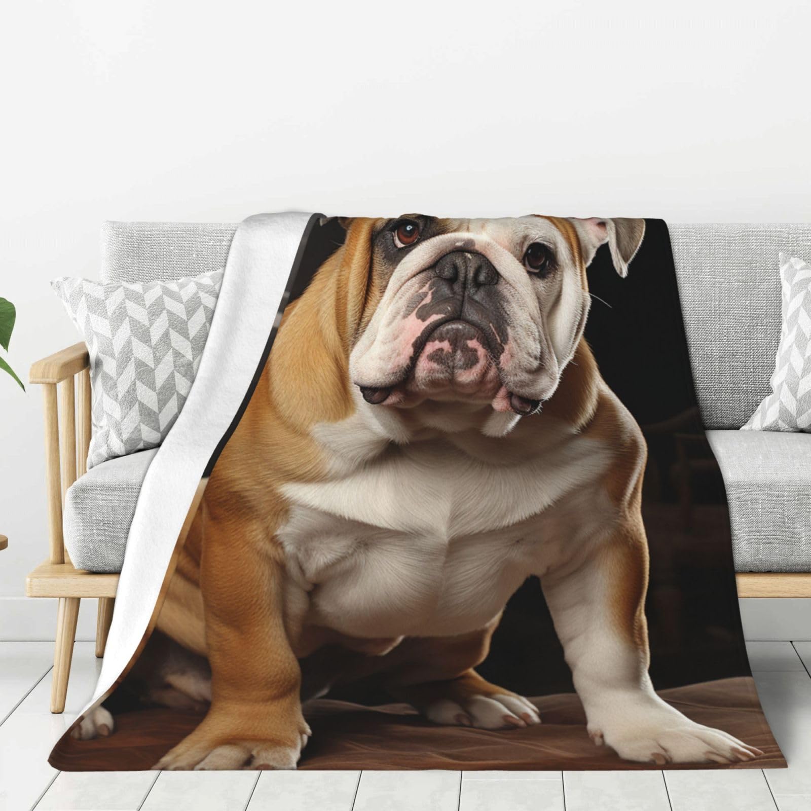 English-Bulldog Throw Blanket Plush Flannel Fleece Blanket, Soft Lightweight Cozy Blankets 50"X40" for Bed Couch Sofa Travel