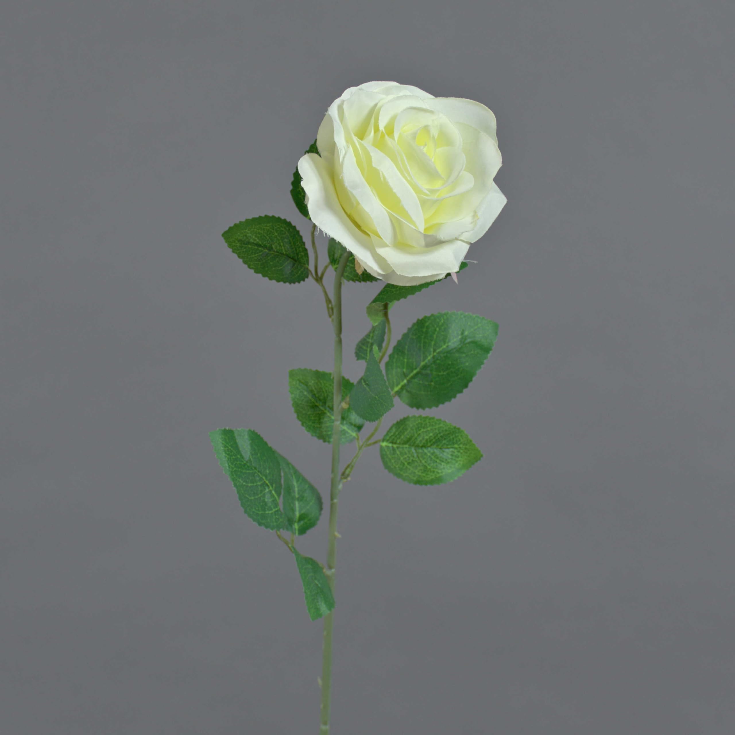 artplants.de Rose silk flower PEZOS, cream, 60cm - Fake rose/Artificial rose spray