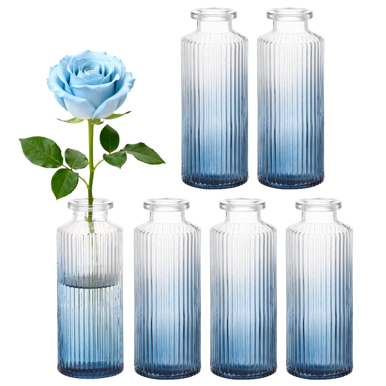 Segus Juego de Floreros de Cristal, 6 Piezas Jarrones Pequeños para Flores, Vintage y Decorativos, para Arreglos Florales, Centros de Mesa (Degradado de Azul)
