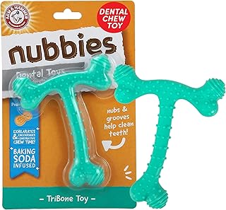 Arm & Hammer Nubbies T-Bone Dental Dog Chew Toys, Peanut Butter Flavor - Durable Nylon Chewing Toys for Dogs, Done Bone Toy, Teeth Cleaning Bones for Chewers Help Remove Plaque and Tartar