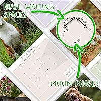 Vista 1207 de Razas de Perros 2017