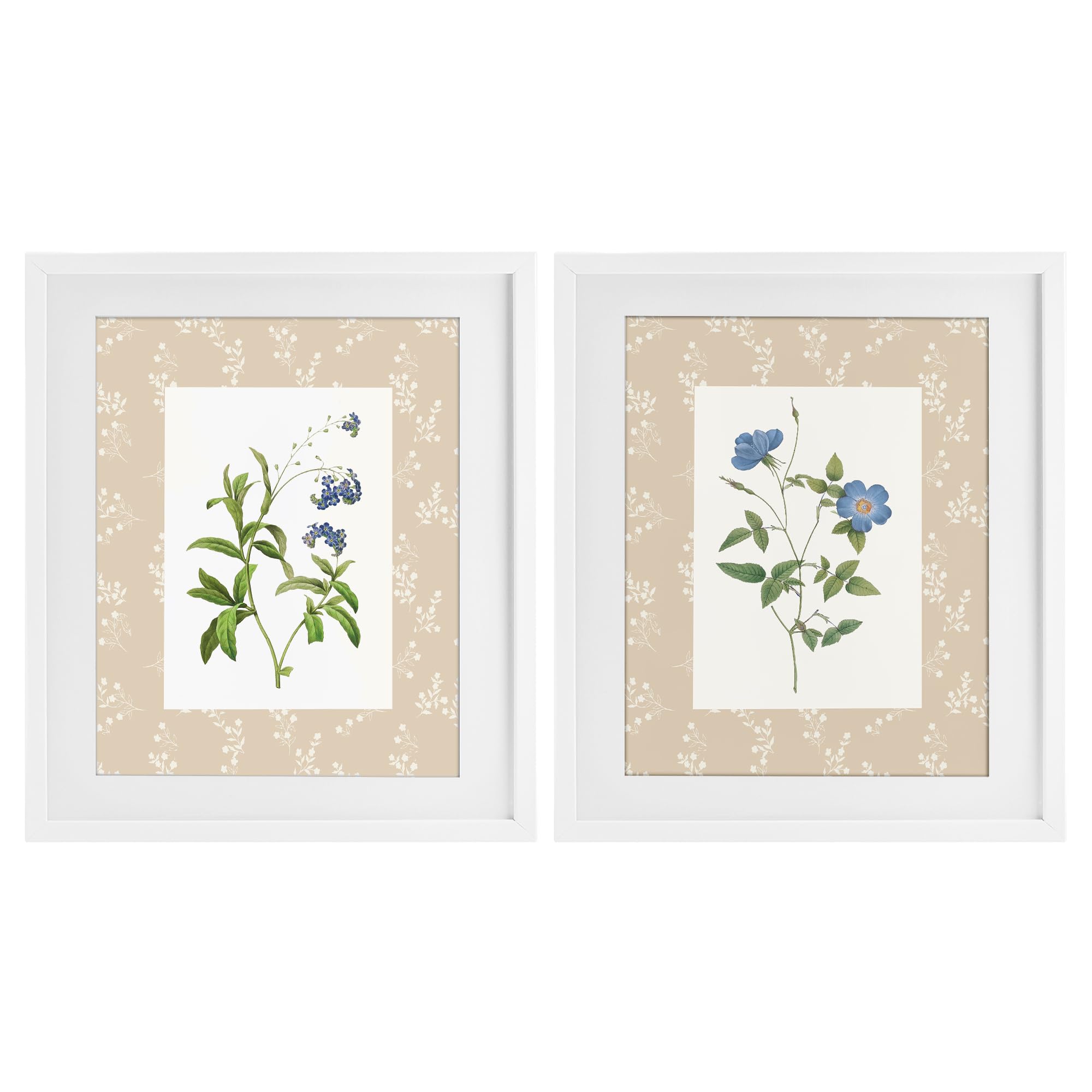 'Herbs on Beige Botanicals'| 2pc Framed Print Under Glass Set