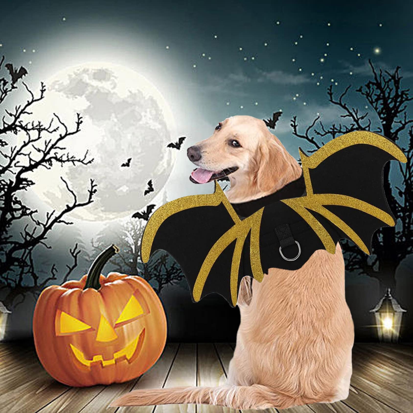 43 Best Dog Costume Ideas For A Happy Howloween(02)