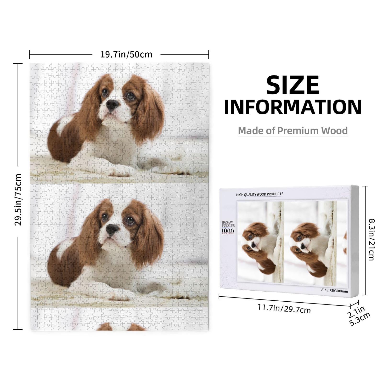 Cavalier King Charles Spaniel Spaniel Marrone, Puzzle da 1000 pezzi per adulti, Puzzle impegnativi, Puzzle a incastro