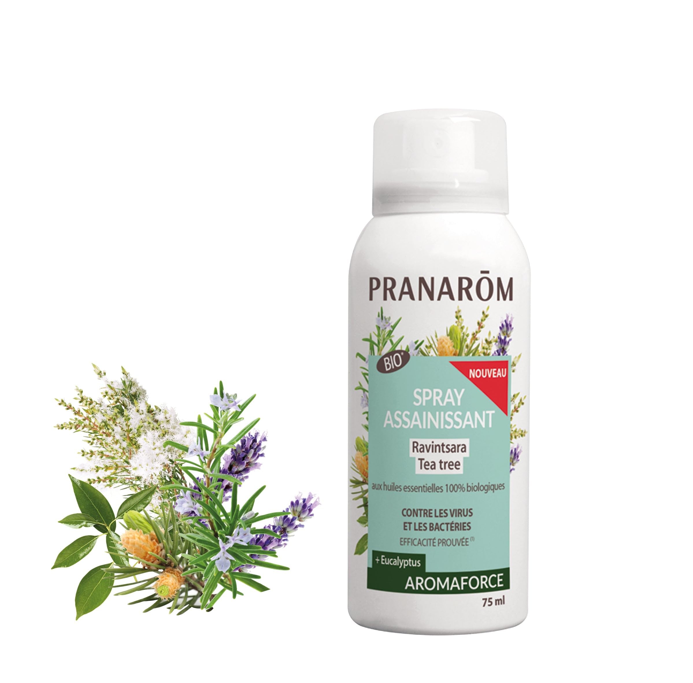 Pranarôm Aromaforce Sanitizing Spray Ravintsara Tea Tree Organic 75ml