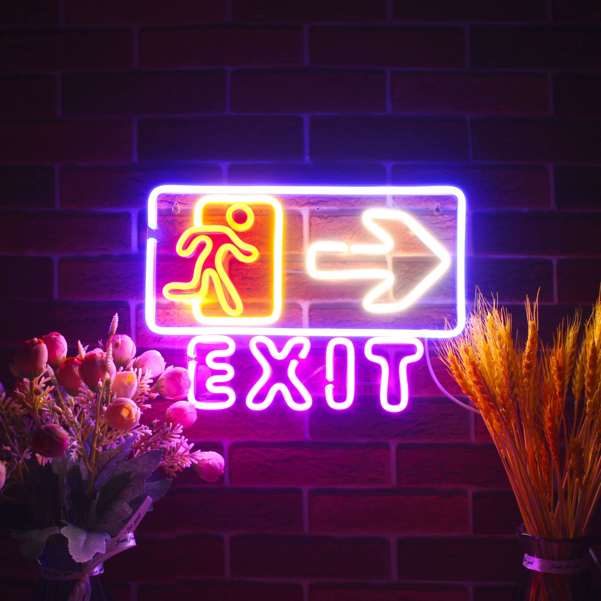 Amazon.com : ADVPRO Exit Sign Flex Silicone LED Neon Sign - Red