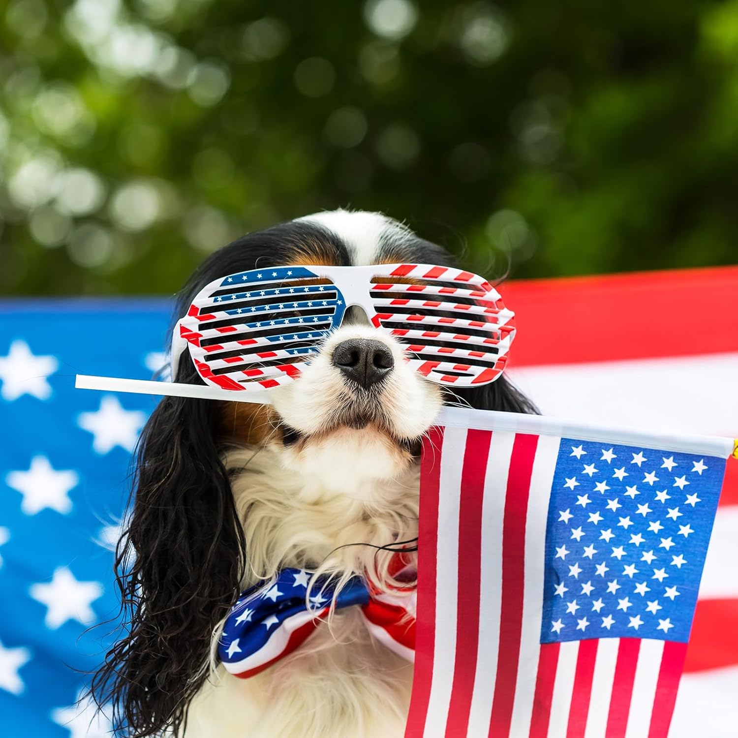Honoson 48 Pcs 4th of July Accessories USA 250th Anniversary Party Favors Include 24 Patriotic Shutter Glasses 24 Head Boppers American Flag Sunglasses for Independence Day Veterans Day Supplies