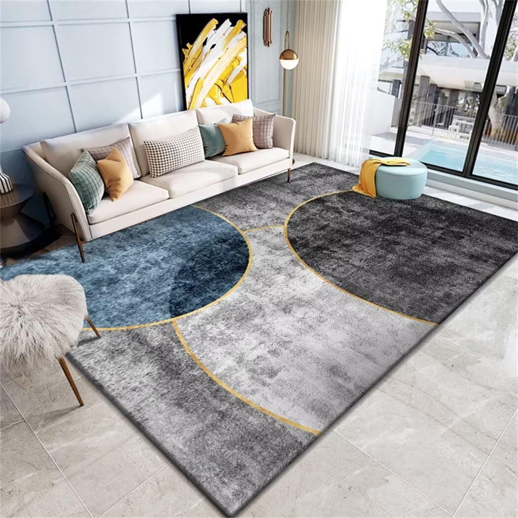 Tapis de cuisine long et grand tapis rectangulaire de salon confortable 120X160