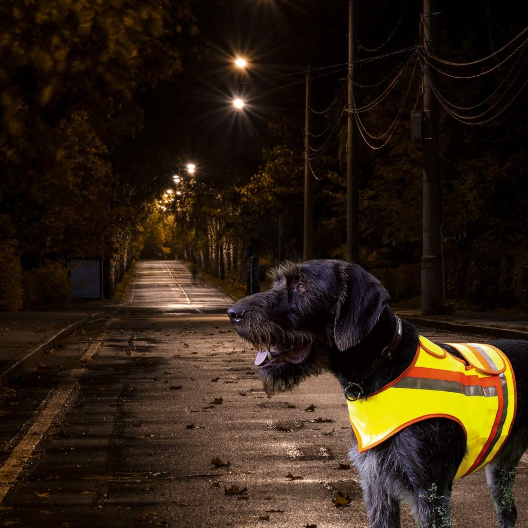 Gilet de sécurité réfléchissant pour chien pour la chasse à la force, la chasse à la levée, la circulation routière et les promenades dans l'obscurité en jaune orange avec bandes réfléchissantes (XL)