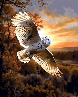 ZUVRDIAI Paint by Numbers for Adults Beginner Flying White Owl Sunset DIY Acrylic Painting by Numbers Kits with Brushes Acrylic Color Home Decoration Brithday Gifts 16 x 20 Inch