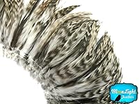 Algopix Similar Product 13 - Rooster Feathers Natural Grey