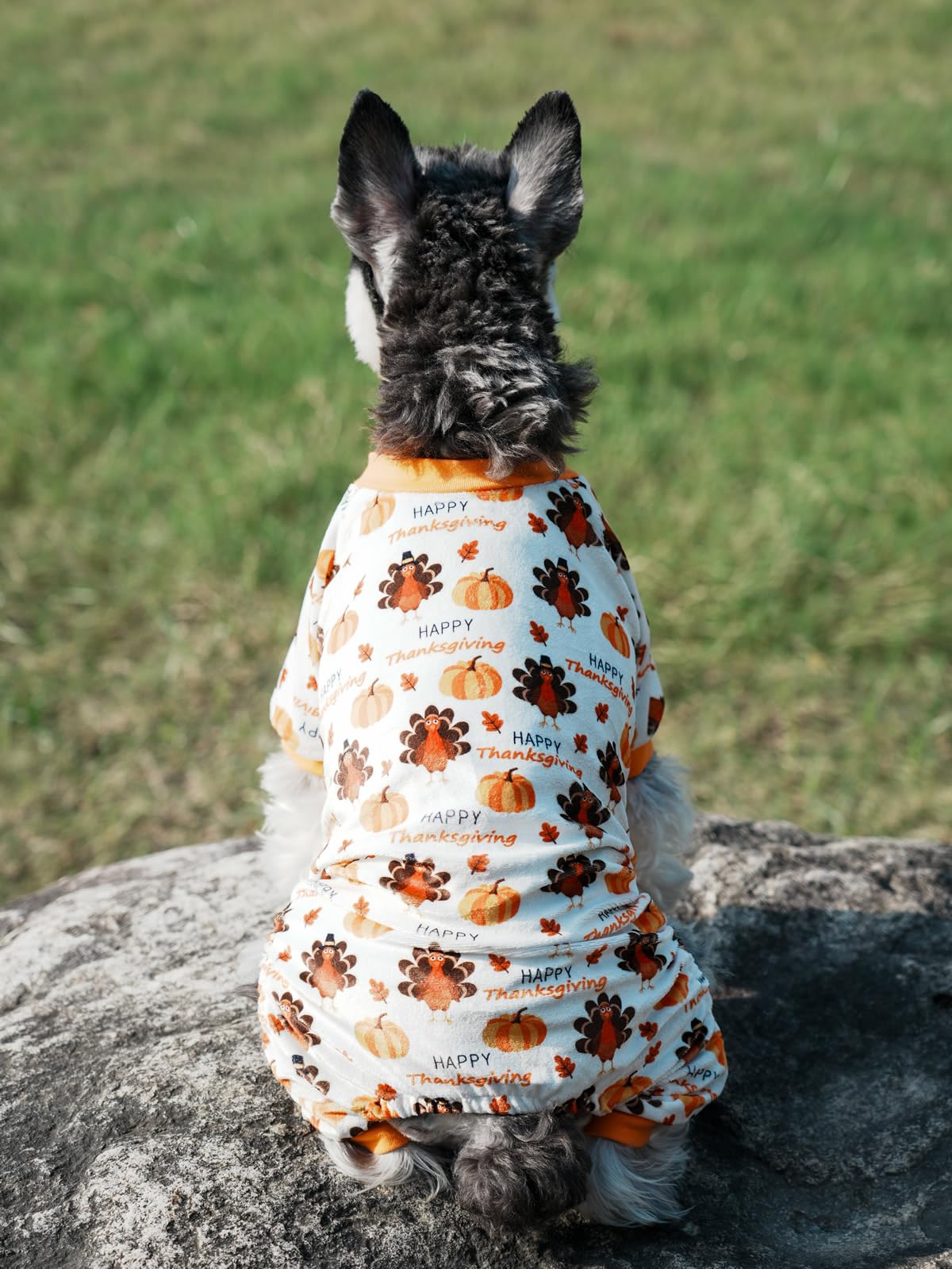 Amazon.com : Turkey Pumpkin Dog Thanksgiving Pajamas Fall Dog Clothes  Outfit Onesie PJS for Pet Dogs Onesie PJS, Back Length 20" Large : Pet  Supplies
