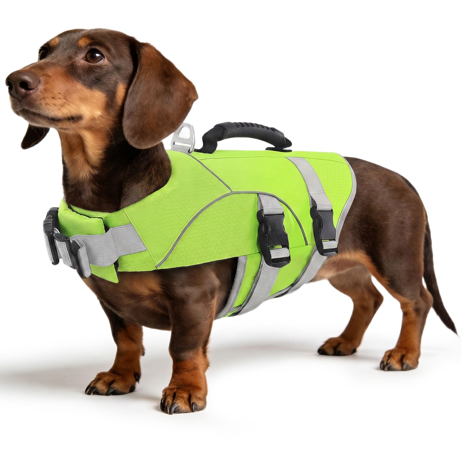 ASENKU Giubbotto Salvataggio per Cane, Salvataggio Professionale per Cani Galleggiante ad Alta Visibilità per Spiaggia, Barca e Piscina, Maniglia di Sicurezza, Cinturino Regolabile con Maniglia