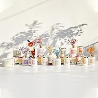 Vista 5 de Cocorrína Juego de Difusor de Varillas Premium con Gipsófila Preservada y Palitos de Algodón Coco Lima Difusor de Aceite Aromático de 6.7oz