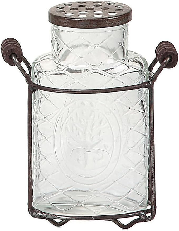 Creative CoOp Glass Vase with Metal Flower Lid, Small Amazon.ca Home