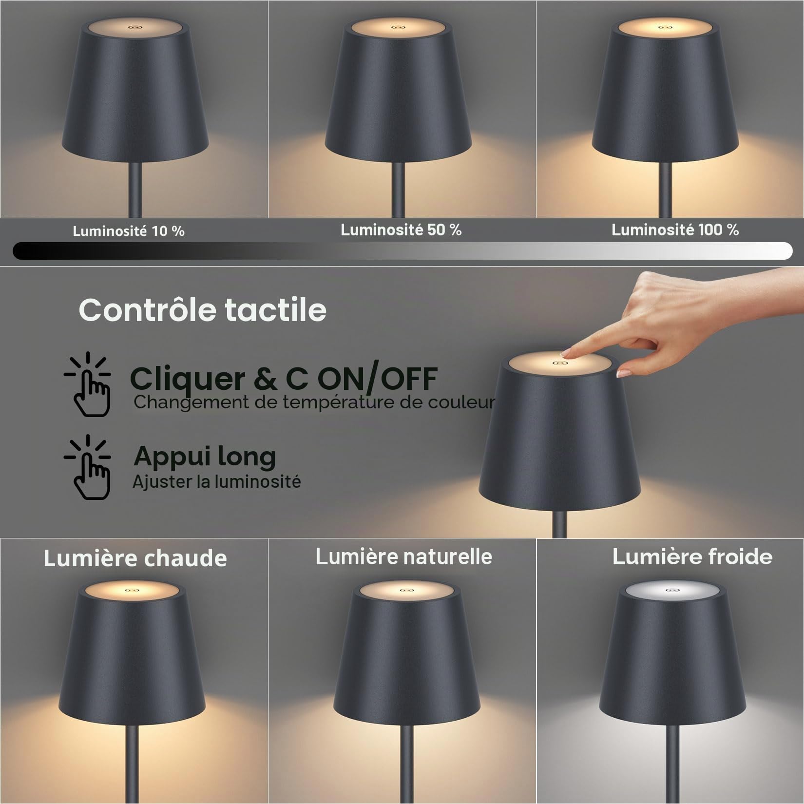 Lampadaire LED Dimmable avec piles, Lampadaire sans fil rechargeable avec commande tactile pour l'éclairage intérieur et extérieur, salon, balcon, Anthracite
