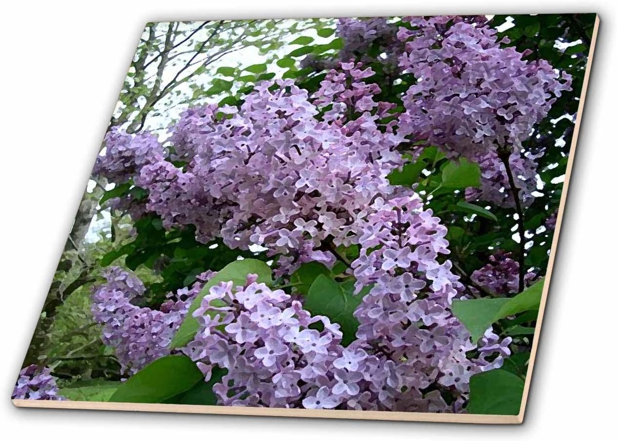 3dRose Lilac 12 Inch Ceramic Tile
