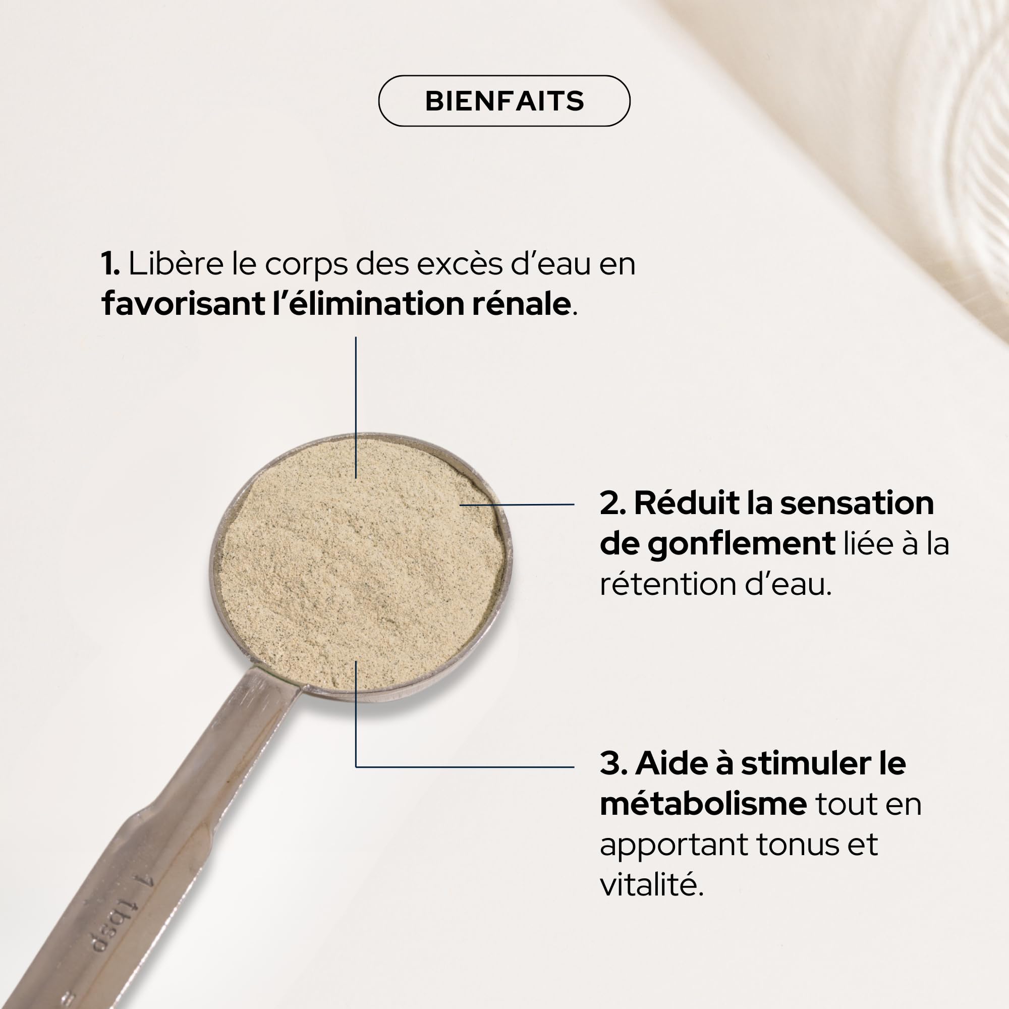 EPYCURE - Poudre Drainante - Détox, Contrôle du Poids, Coupe-Faim Naturel - 100% Naturel - Guarana, Maté Vert, Spiruline - 1 Mois - Sans Lactose, Sans Gluten - Fabriqué en France