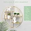 Product Photo 7