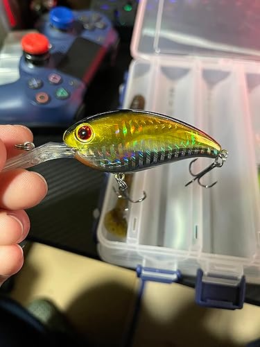 Amazon.co.jp: 【オルルド釣具】 10cm 14g バス クランクベイト ルアー