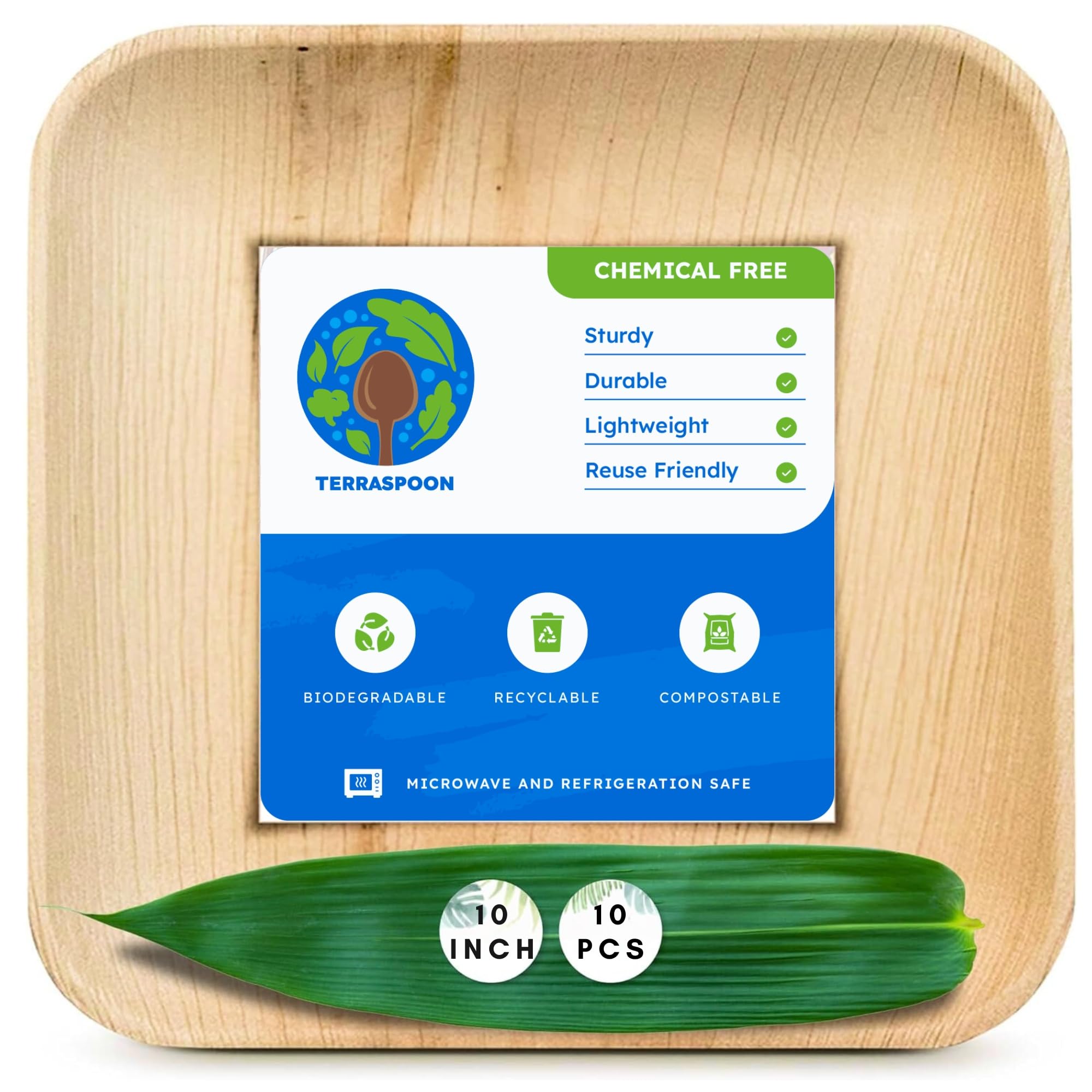 10 Inch Palm Leaf Square Dinner Plates (12 PACK), Strong, Bamboo Like, Compostable And Biodegradable Eco Friendly Plates - Pack Of 12