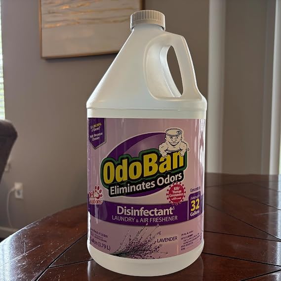 OdoBan Ready-to-Use Disinfectant and Harsh Aroma Eliminator, Set of 2, 14.6 Ounce 360-Degree Continuous Spray Fabric/Air Freshener and 1 Gallon Multi-Purpose Cleaning Concentrate, Lavender Scent