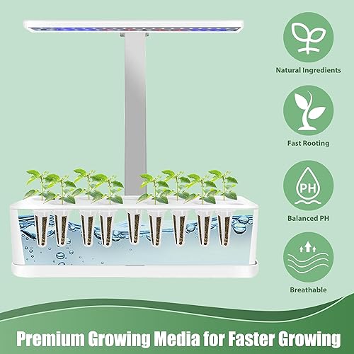 Miniatura 5 de Cápsulas de semillas de menta para todos los sistemas de cultivo hidropónico, kit de hierbas de 12 cápsulas con semillas de menta piperita, cultiva