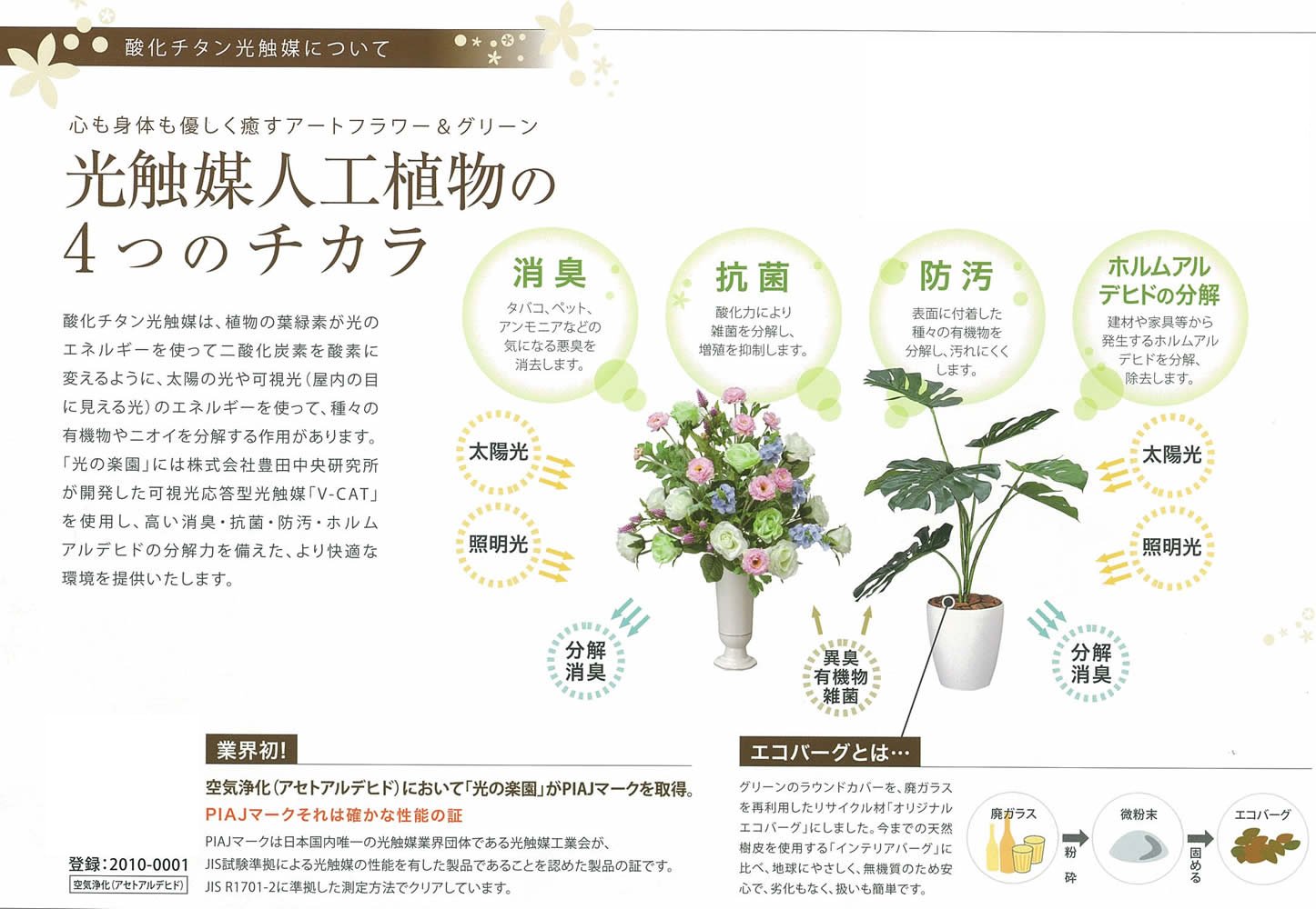 Amazon｜光触媒 人工観葉植物 光の楽園 壁掛シュガーバイン(壁掛け 