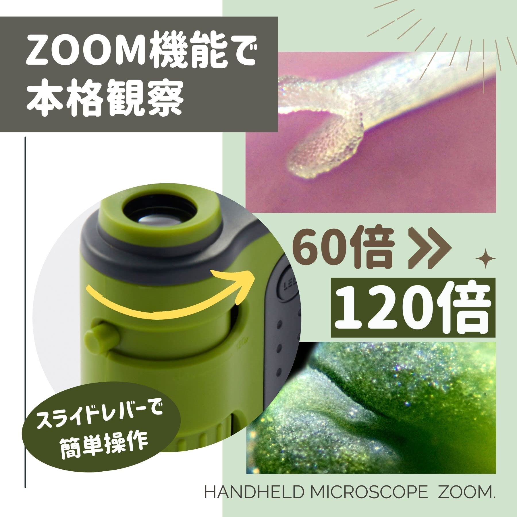 Amazon.co.jp: レイメイ藤井 顕微鏡 ハンディ顕微鏡 ZOOM ブラック