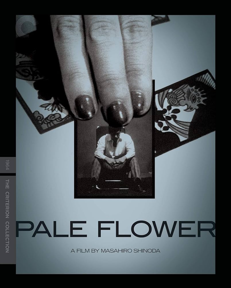 Amazon.com: Pale Flower (The Criterion Collection) [Blu-ray