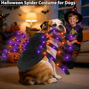 Halloween Light up Spider Dog Costumes for Small Medium Large Dogs