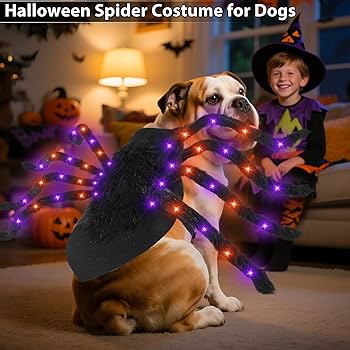 Playful Colorful Dog Halloween Costume Cosplay Zip Up Suit With Hood For Boys And Girls