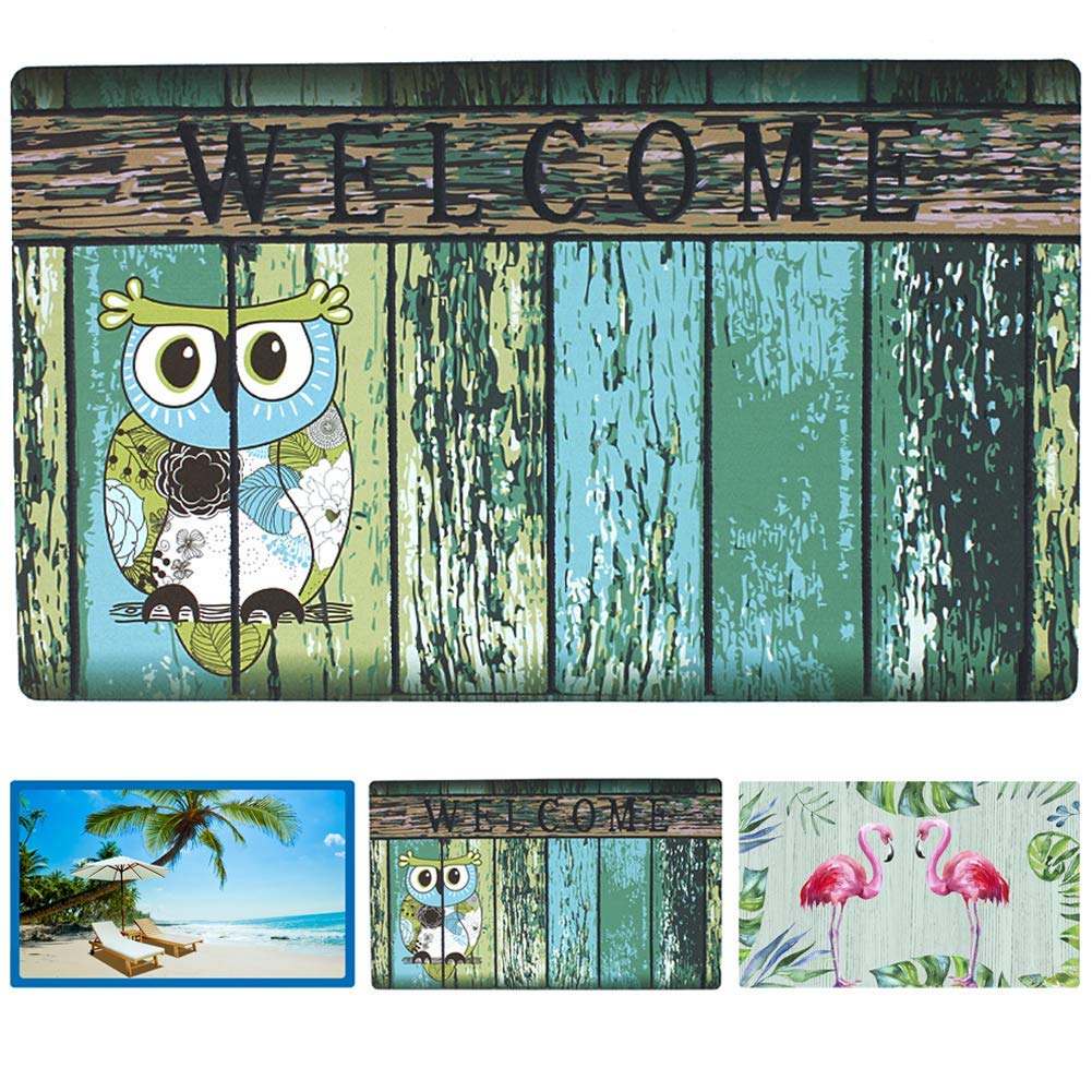 Morning View Owl Welcome Mats Outdoor Entrance Doormat Spring Door Mat Bird Entrance Rug Rubber Door Mats Decorative Bird Rug Indoor Entrance Floor Mats Non Slip Low Profile 29×17.3 Inches
