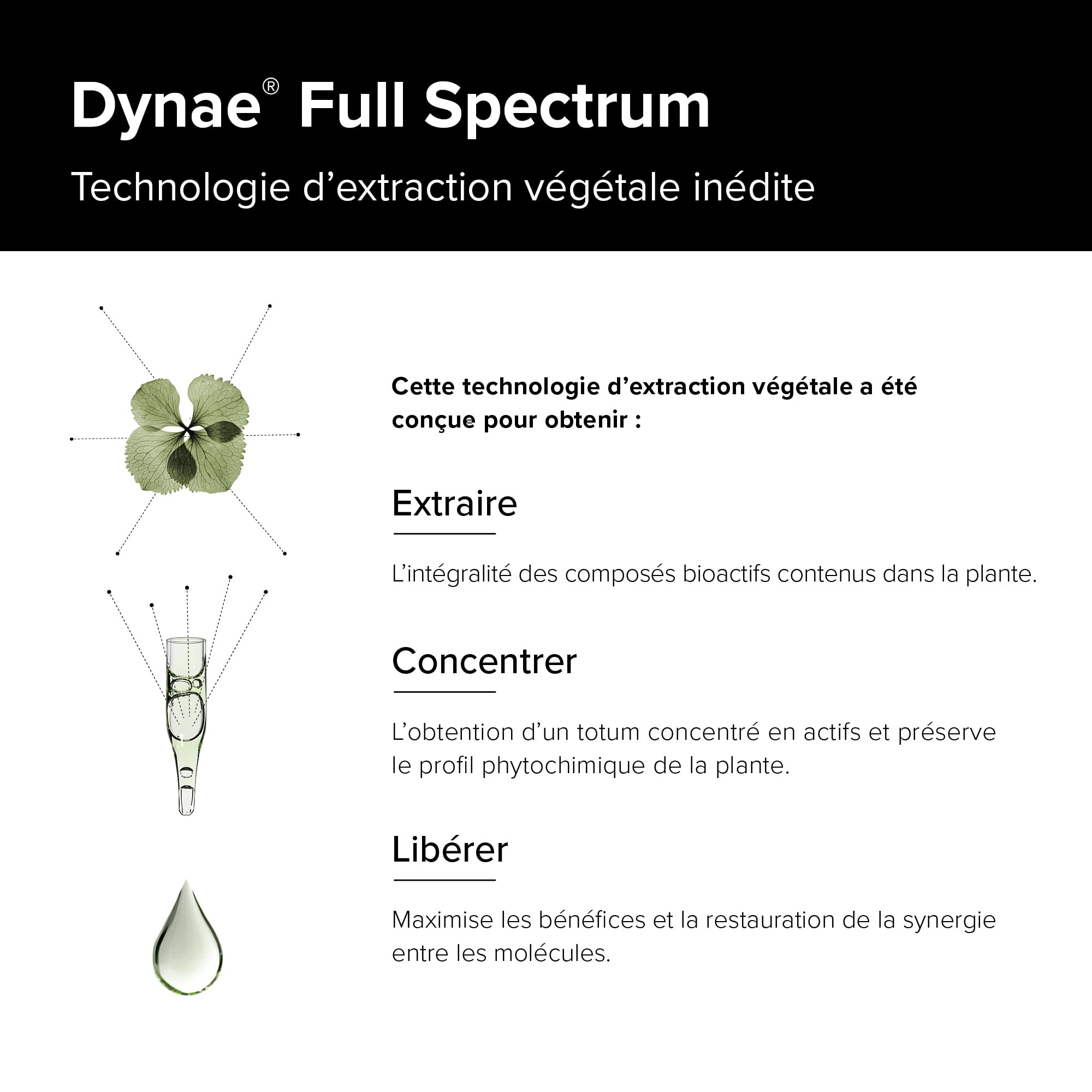 A-Lab DYNAE Full Spectrum - Booster Energie Physique & Mentale - Gingembre, Guarana, Gelee Royale, Reishi, Selenium - Format Liquide - 2ml Par Jour