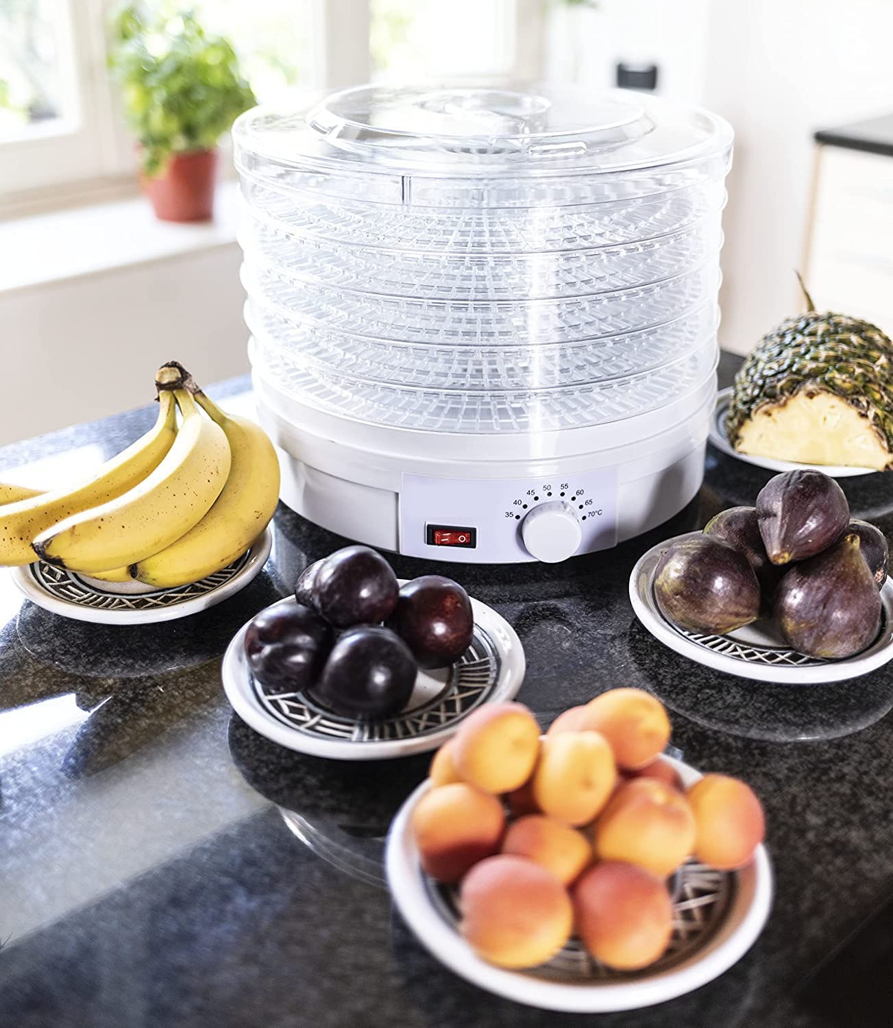 Essiccatore Alimentare MELCHIONI 5 Ripiani - 250W, Temperatura 40-70°C, Per Frutta, Verdura E Erbe - Foto 6