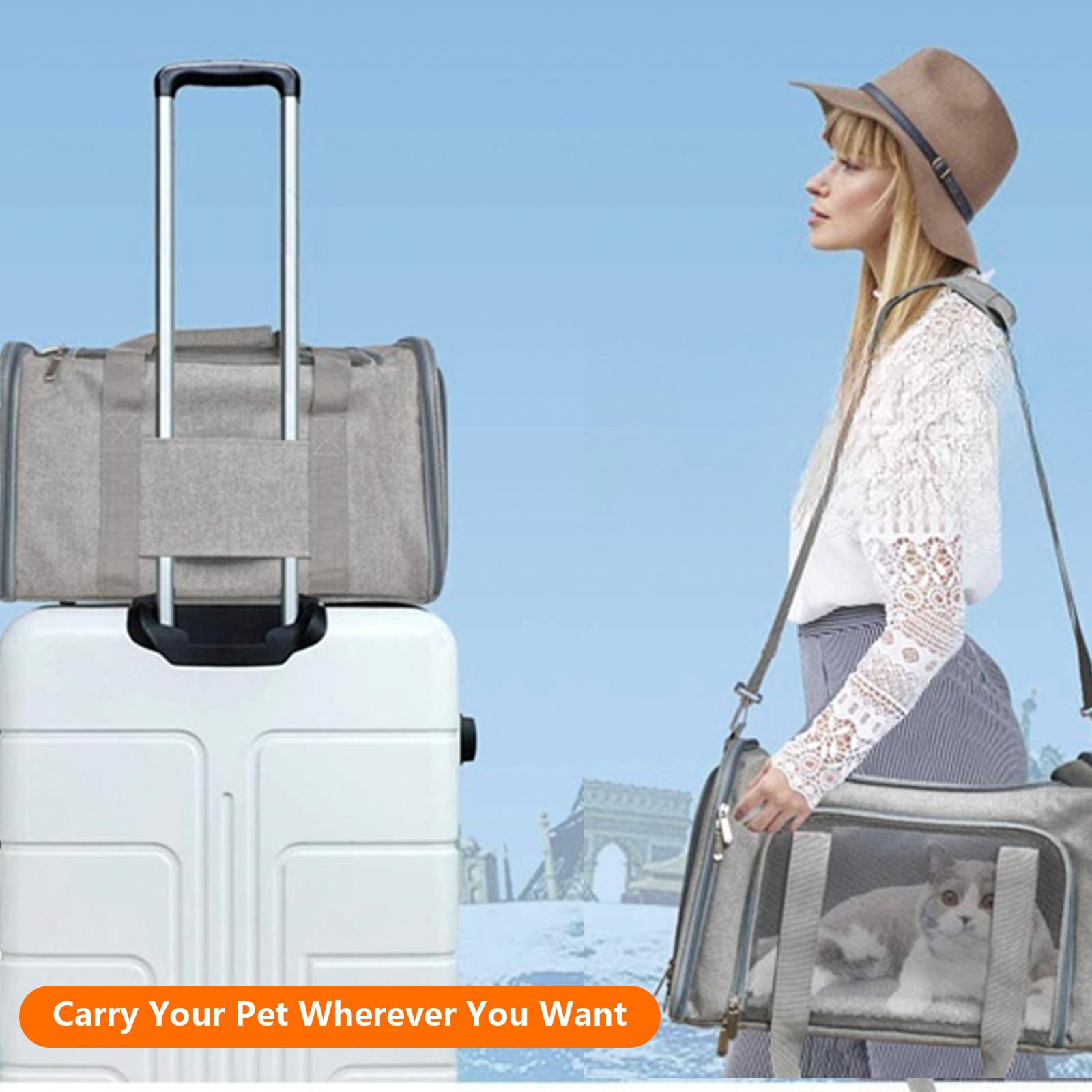 Transportín Perros Gato con Correa Hombro Ajustable y Colchón Suave,Bolsa Transporte Transpirable Plegable para Viajes Mascotas,Trasportines Portátil 45x30x30cm para Perro Gatos Pequeños Mediano(Gris)