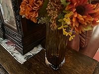 Review Image by carol reagan